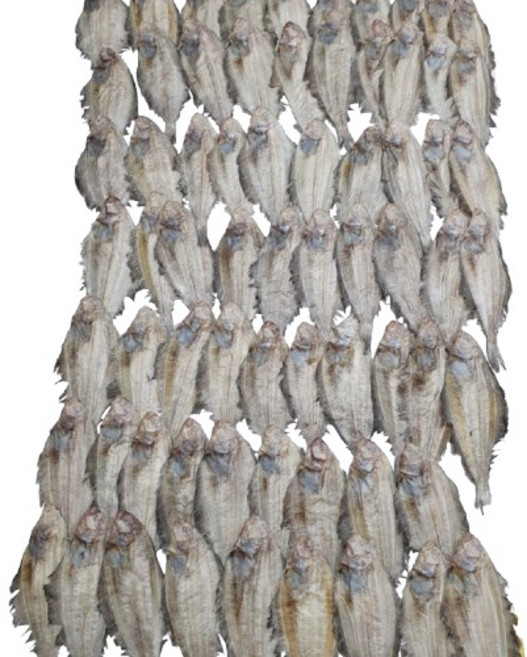 웰빙건어물 건미주구리 건물가자미 마른가자미 건조 기름가자미 대략850g내외 한봉 한판, 1개