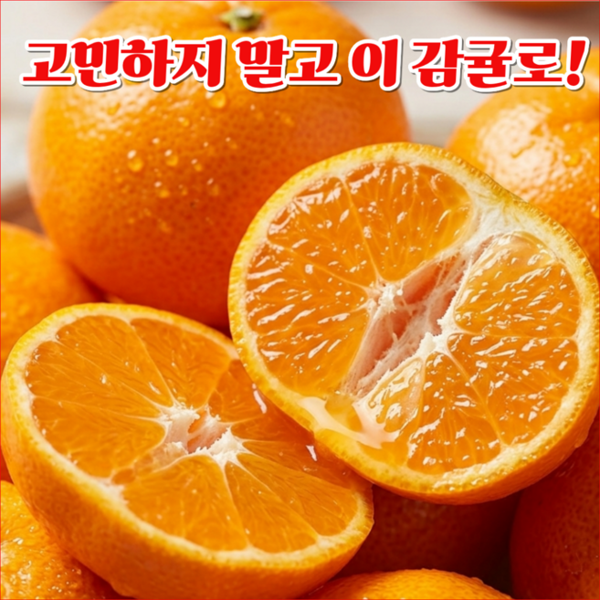 [안심선별] 산지직송 제주 감귤 초고당도 노지귤, 1박스, 로얄과 10kg
