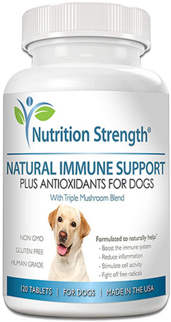 달려라펫 [미국 직배송] 노령견 전용 천연 케어 내츄럴 이뮨 서포트, 1개