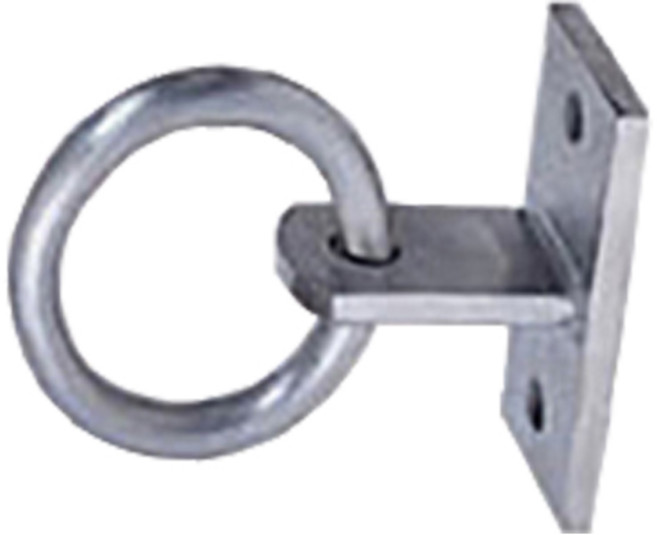 앙카식 청소용고리 DS-612(2구) 파라펫링 외벽청소 아파트 옥상, 1개