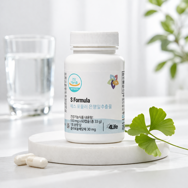 포라이프 에스 포뮬러 은행잎추출물 (S Formula) 60캡슐, 1개, 60정