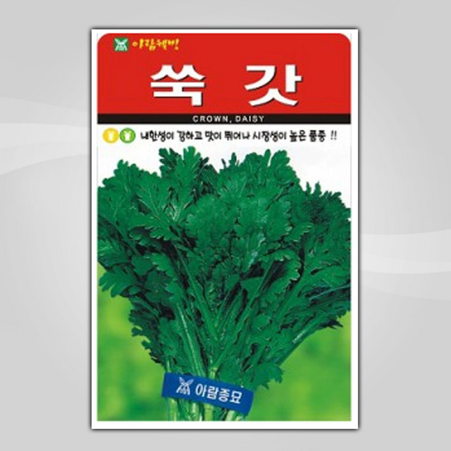 슬로시 상추씨앗 쌈채소씨앗 적치마 양상추 샐러리 5종 혼합상추 씨, 1개
