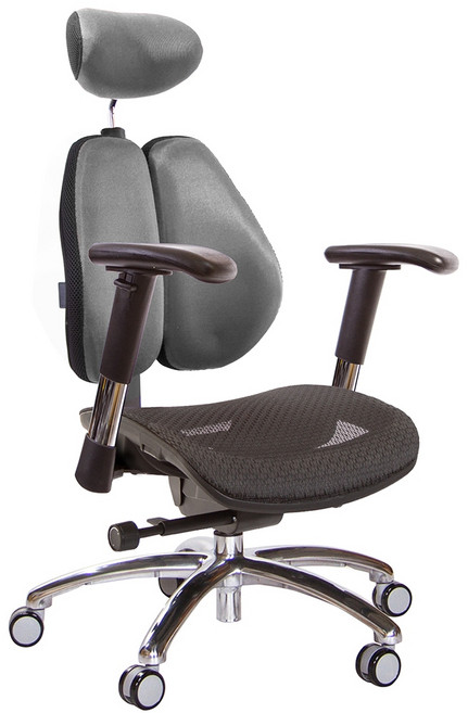 GXG LUA6 大雙背工學電腦椅 鋁腳 2D滑面金屬扶手, 金屬銀色