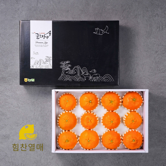 [명절특가] 제주 레드향 선물세트 프리미엄, 1박스, 5kg (보자기 포장)