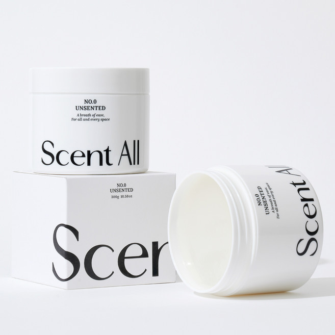 센트올 실내탈취제 알로에향 화장실 담배 새집증후군 실내 집안 홀애비 옷장 냄새 제거, 300g, 1개