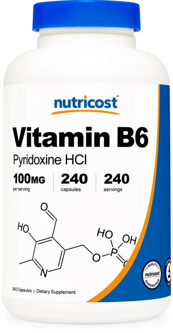 뉴트리코스트 비타민 B6 피리독신 HCl 100mg 캡슐, 1개, 240정 - 쿠팡