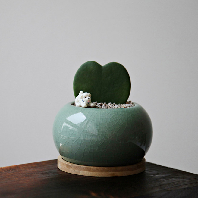 하트호야 청자달항아리 받침세트 풍수지리 식물 개업화분, 1개, 하트호야+청자달항아리(그린)+푸들+웰시코기+마사토+받침