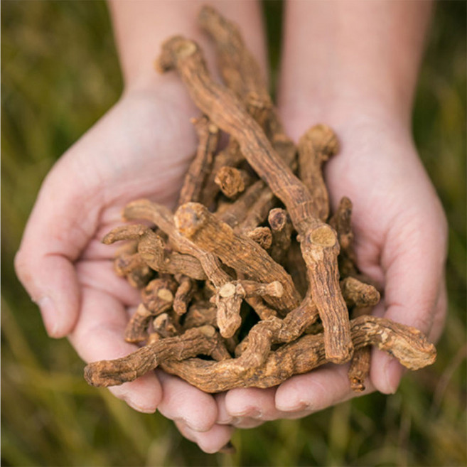 국산 끓여먹는 볶은 옥수수차 1kg 볶음 옥수수 대용량, 국산 볶은둥굴레 600g, 1개