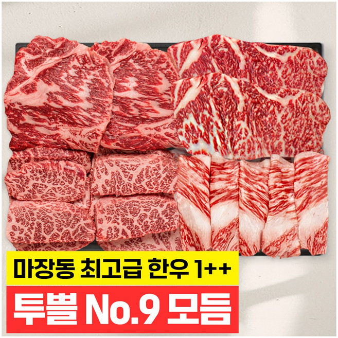 푸드지 마장동 1++(9)등급 투뿔 한우 모듬세트, 800g, 1개
