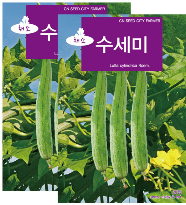 세인화분 수세미 20립 - 씨 씨앗 쑤세미, 2개