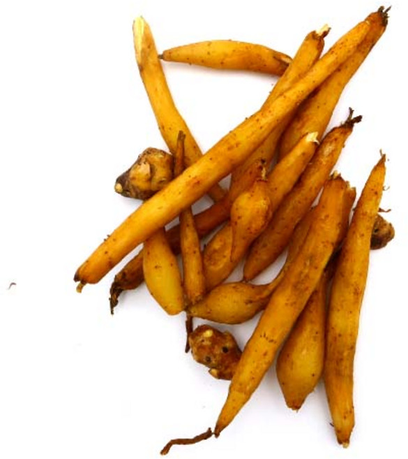 생핑거루트 태국산 가차이 갖차이 까차이 500g, 1개