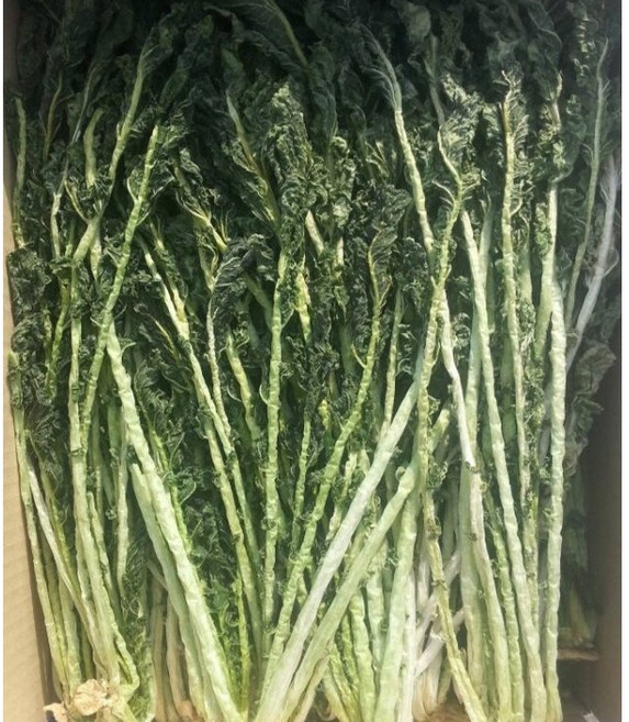 양구 2026년 햇 건시래기 1kg/시래기 /양구시래기/펀치볼시래기/무청시래기/ 1박스