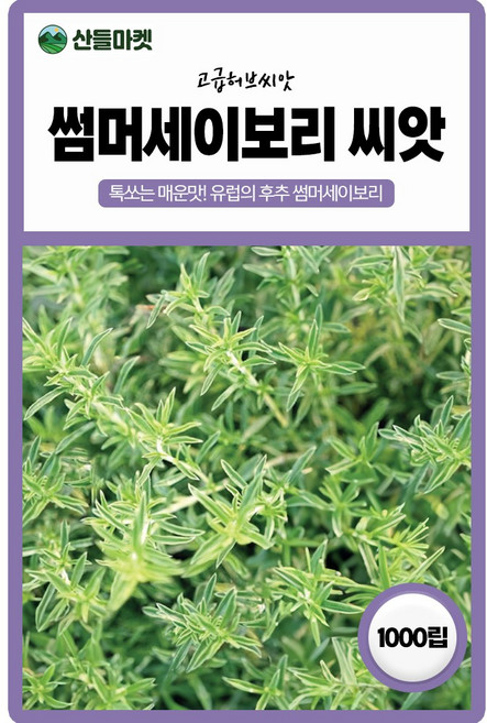 세계종묘 썸머세이보리 씨앗 1000립 썸머세이보리씨 허브 종자, 3개