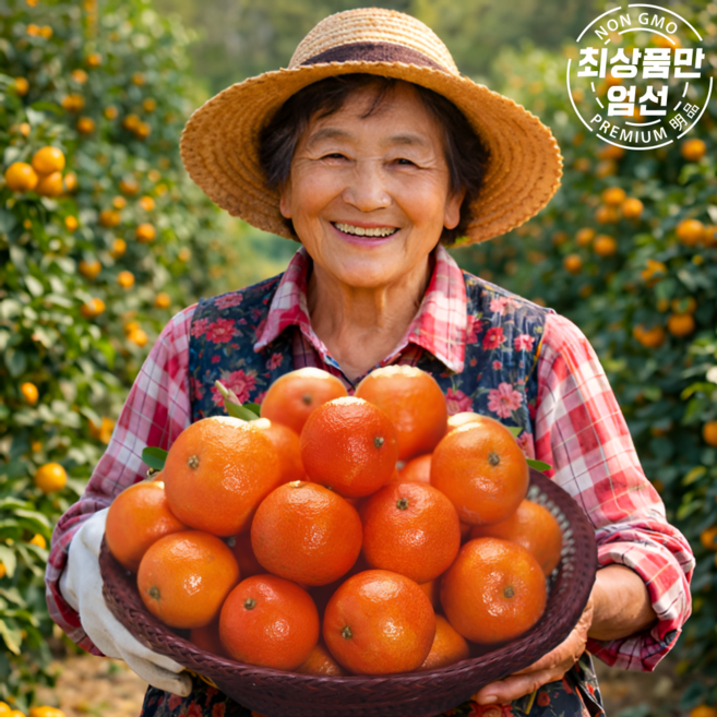 특가판매 고당도 만다린 감귤, 1박스, 500g