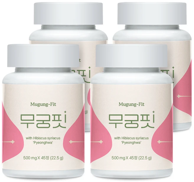 [본사출고] 무궁핏, 45정, 4개 - 쿠팡