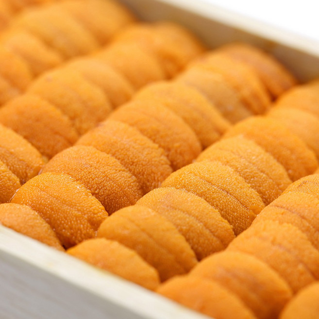 칠레산 프리미엄 우니 성게알, 3개, 100g(칠레산)