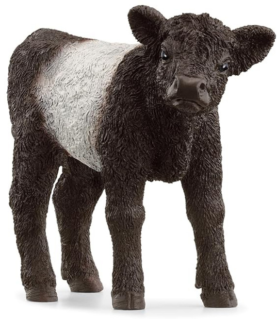Schleich 슐라이히 팜월드 갤러웨이 암소 송아지 13969, 1개