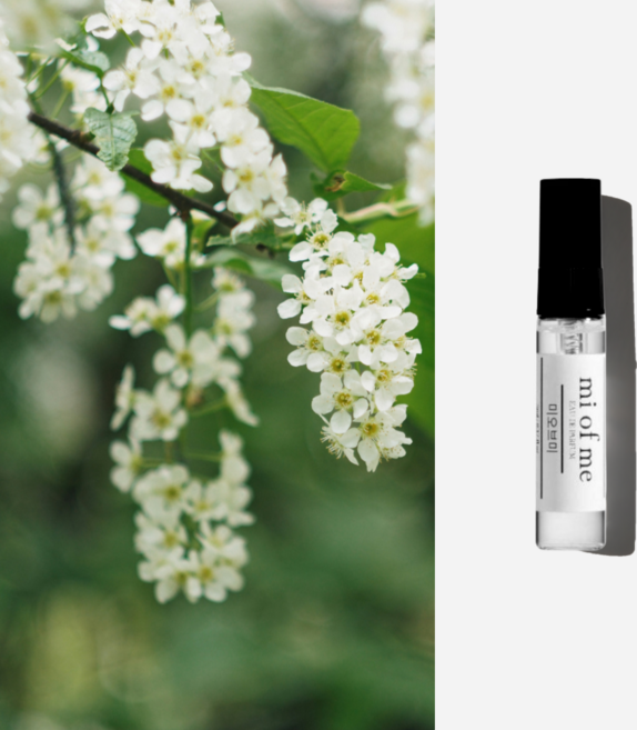 미오브미 아카시아 니치 향수 오드퍼퓸, 1개, 5ml