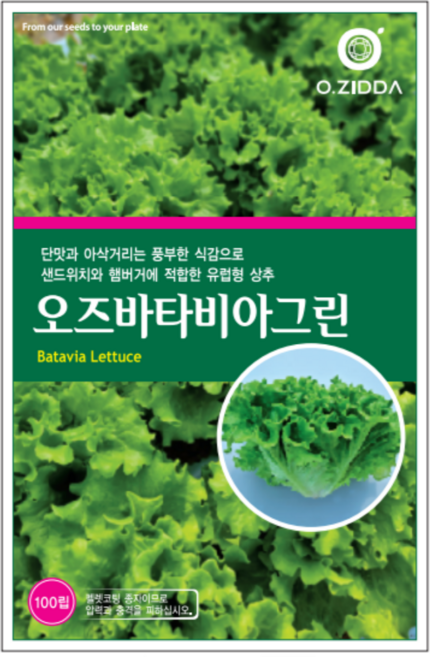 고급 유럽 상추 씨앗 - 오즈 바타비아그린, 1개