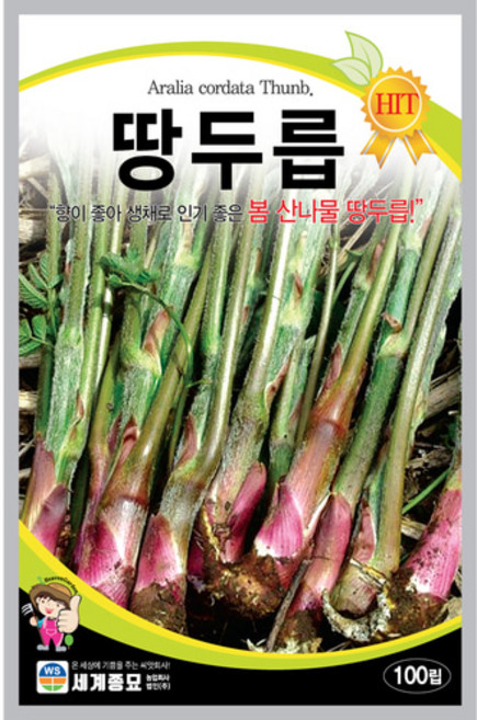 세계종묘 땅두릅 씨앗 100립, 1개