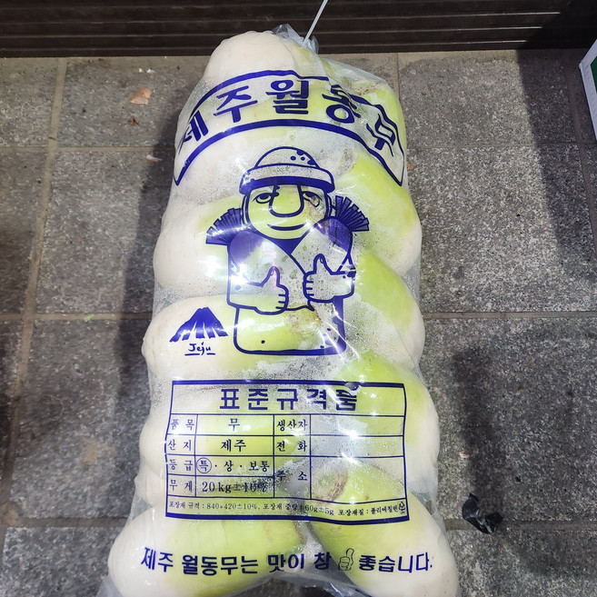 제주 월동무 세척무 김장무 동치미무, 5kg, 1