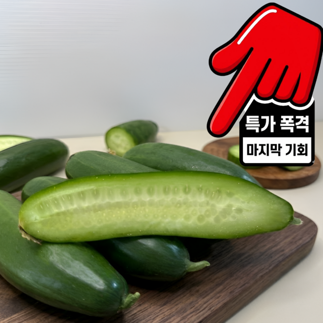 국내산 미니오이 스낵오이 아삭 통피클용 등산용, 1박스, 500g