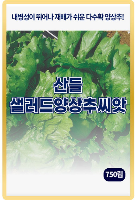 산들 샐러드 양상추씨앗 750립 내병성 뛰어난 다수확 조생종 양상추씨 종자, 1개