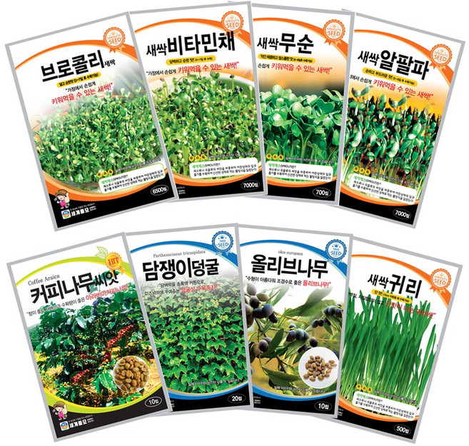 새싹씨앗 잔디 수목종자 여종 30종 모음, 14_세계새싹레드콜라비(6000립), 1개