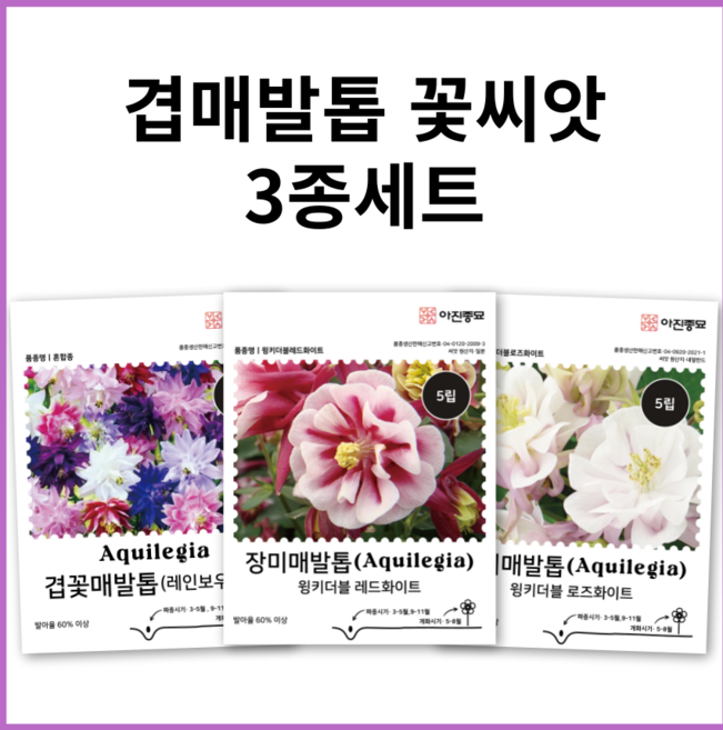 매발톱 씨앗 3종세트 매발톱꽃 겹 장미매발톱꽃 씨앗 레드화이트 로즈화이트 노지월동 다년생 꽃씨앗 봄 여름 가을 꽃씨 파종 주주씨앗, 1개