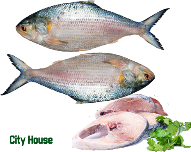 Frozen Hilsha 2pieces 1kg냉동 힐샤 피쉬 (청어) 2마리, 1개