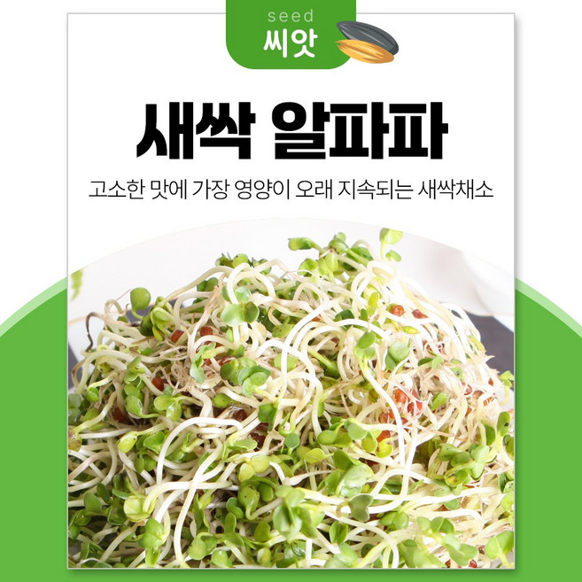 세경팜 알파파싹 30g 새싹 채소 씨앗, 1개