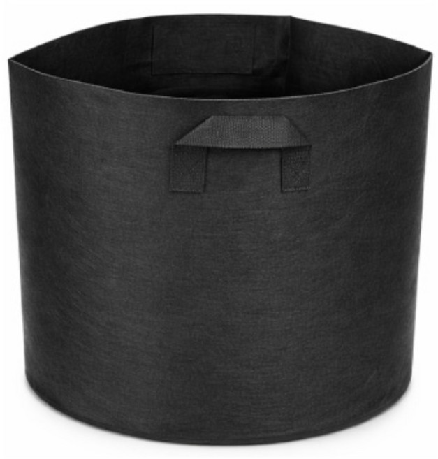 블루베리화분 부직포화분, 2개, 블랙