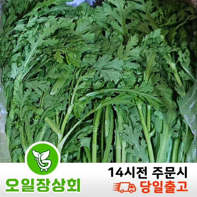( 오일장 상회 ) 국내산 쑥갓 1KG 2KG 4KG, 1박스