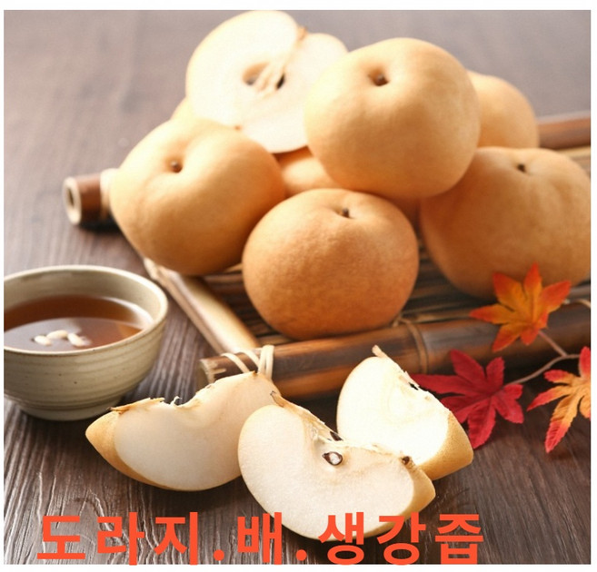 (홍열팜) 국내산 어린이 배 도라지 생강즙, 10개, 110ml