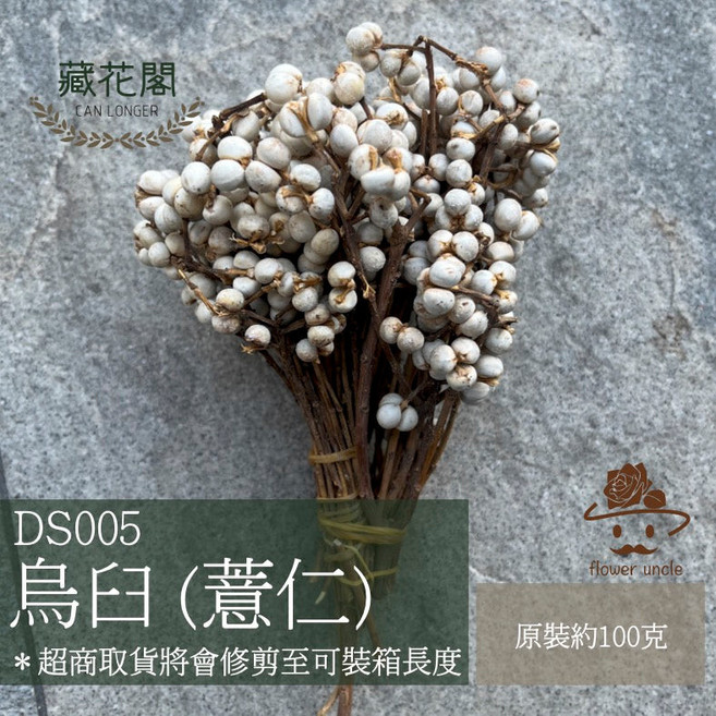 烏臼薏仁研磨器 天然材質 手工研磨 藥材香料適用 輕巧易收納, 1個