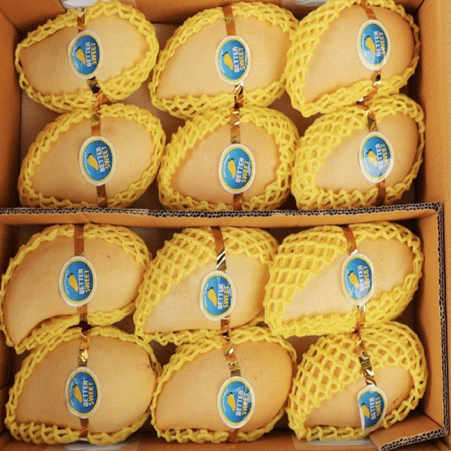 항공직송 고당도 남독마이 태국 골드망고 5kg(10~12과), 1박스