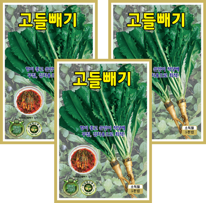 1+1+1 고들빼기씨앗 5천립 3봉세트 꼬들빼기 산나물 종자 씨 봄 가을 파종 작물 나물 씨 민속 약초 채소씨앗, 1개