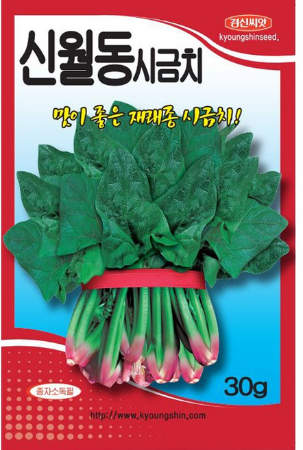 신월동시금치 씨앗 30g 겨울 월동 남해시금치 짧은엽장 내한성 재래종, 1개