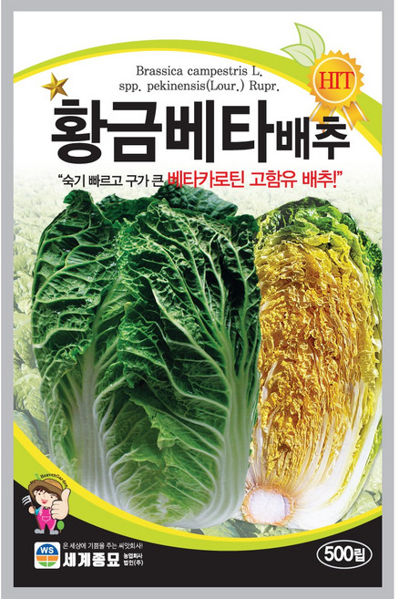 주주씨앗 채소 씨앗 모음 / 상추 쌈채소 유럽상추 치커리 다채 시금치 등, 65. 황금베타배추(항암) 500립, 1개
