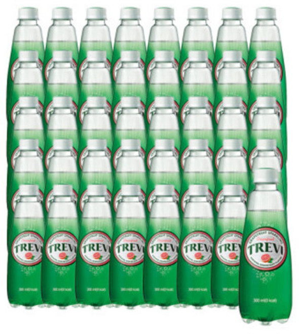 트레비 자몽 300ml 20펫 2박스(총 40펫), 1개, 1L