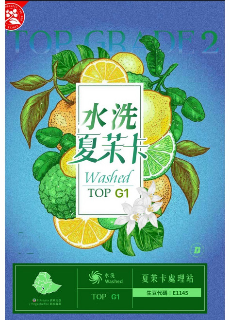 四季生豆咖啡 水洗 耶加雪菲 頂級G1, 1個