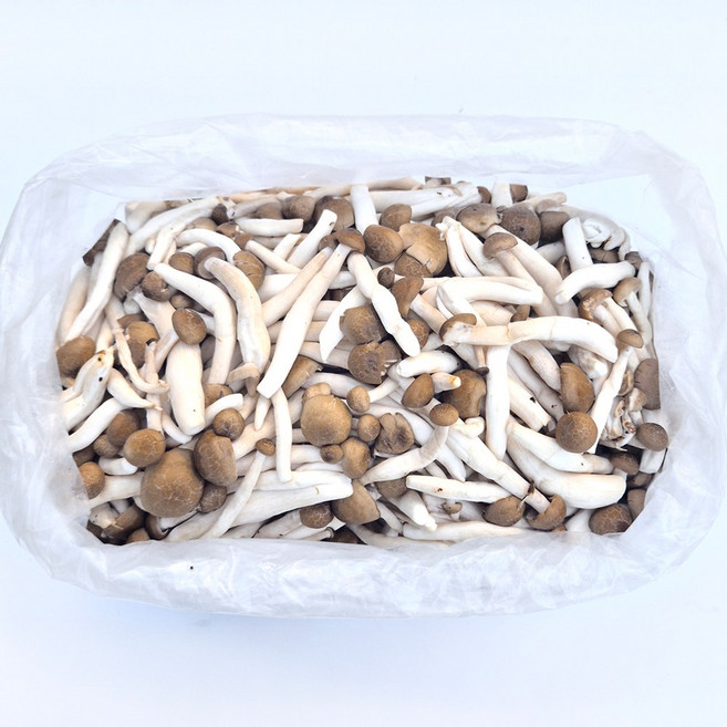 클릭마켓 국내산 만가닥 만가닥버섯 갈색, 1개, 4kg
