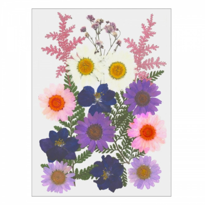 레진아트/만들기재료/프레스플라워(압화)세트 XM07, 1개