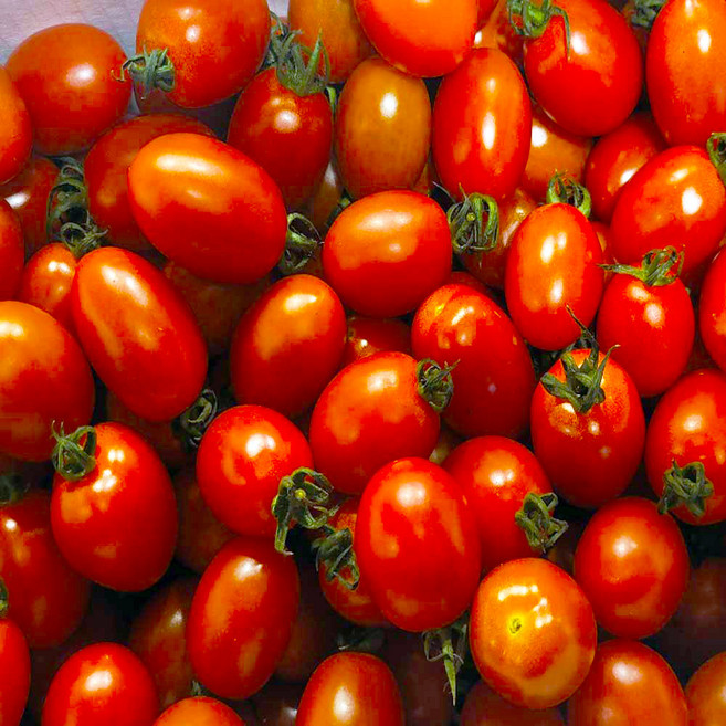 달달과수원 탱글탱글 고당도 대추 방울 토마토, 2kg, 1개