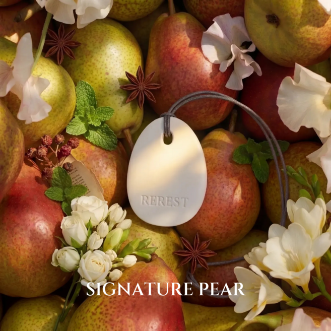 리레스트 명품 차량용 방향제 퍼퓸 테라코타 디퓨저, 시그니처페어, 1개