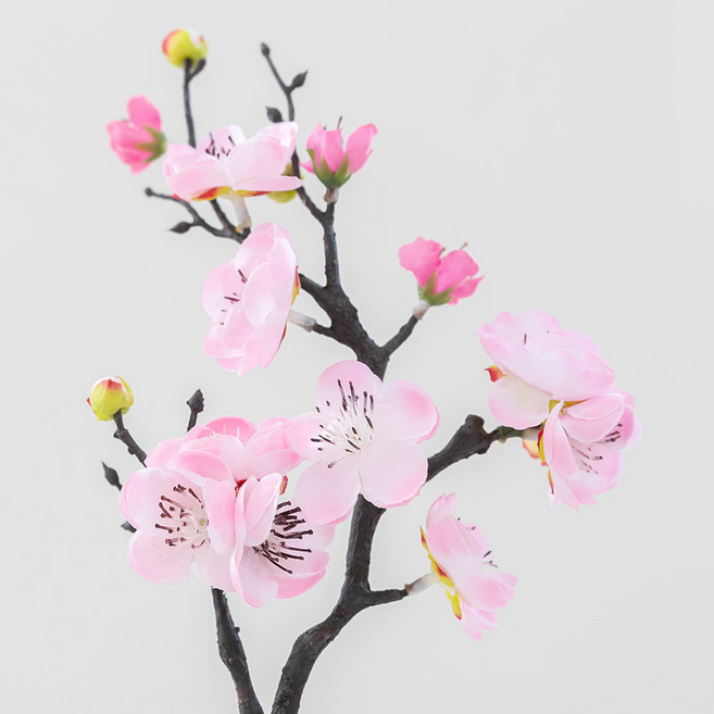 봄조화 매화, 1개, 36핑크