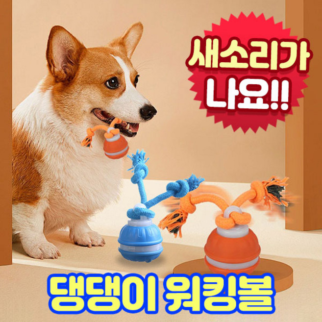 앤트앤비 댕댕이 워킹볼 자동 장난감 스마트 팻 토이 USB 충전식, 1개, 블루