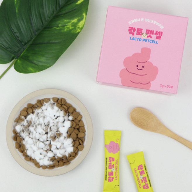 락토펫셀 강아지 고양이 반려동물 유산균 프로바이오틱스 장건강 2g x 30포, 1개