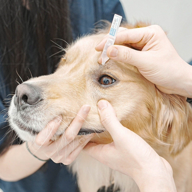 국내최초 반려동물 전용 일회용 인공눈물 두카메디 셀케어 아이드롭 일회용 강아지 고양이 눈곱 이물질 제거, 30개, 1ml