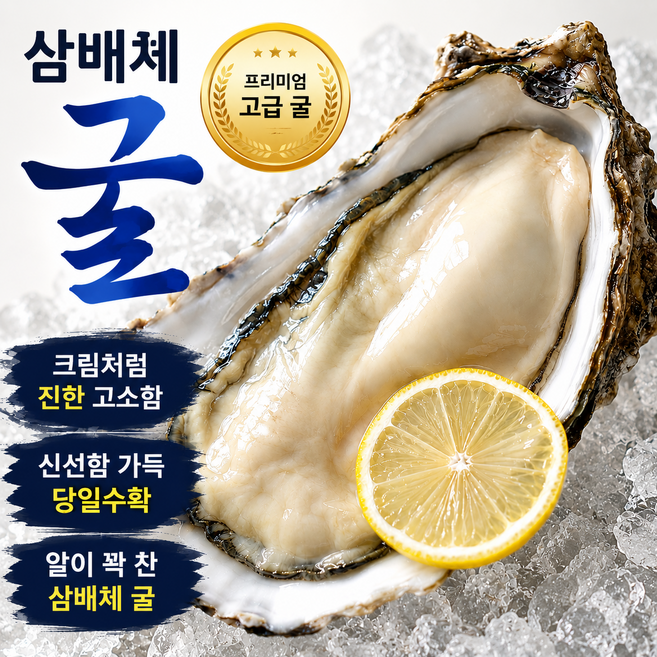 토해원 통영 삼배체굴 대왕굴 크림굴, 1박스, 1kg(2-4미)